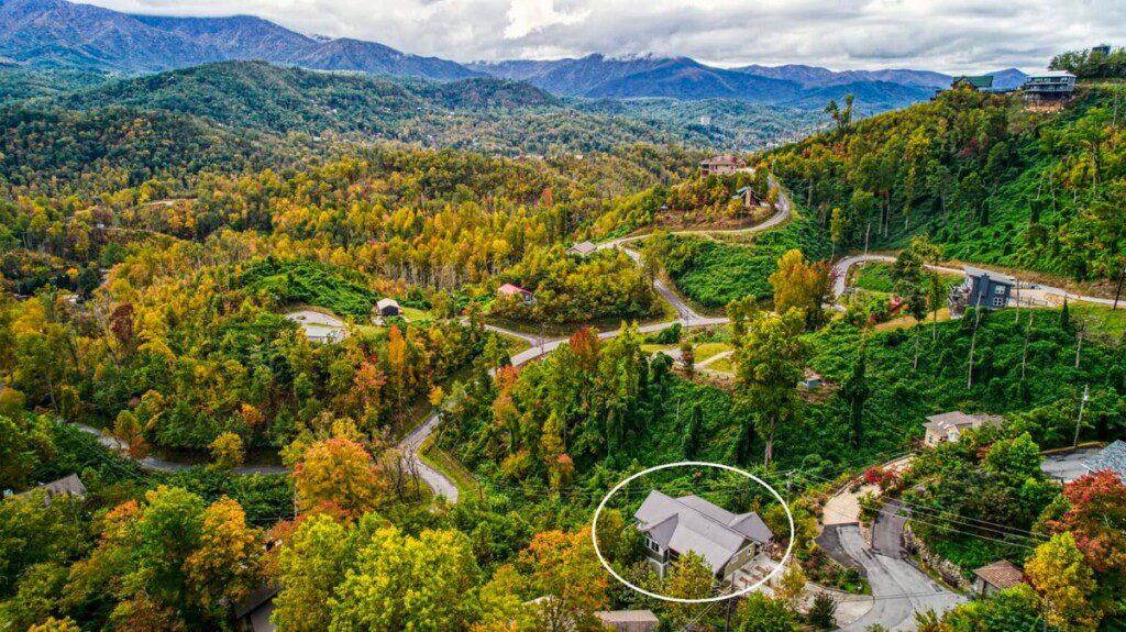 original 814541472818415628 1770663909