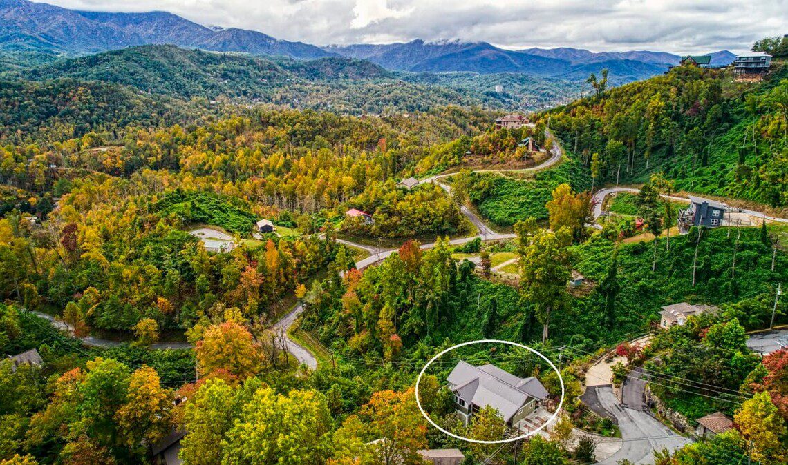 original 814541472818415628 1770663909