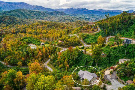 original 814541472818415628 1770663909