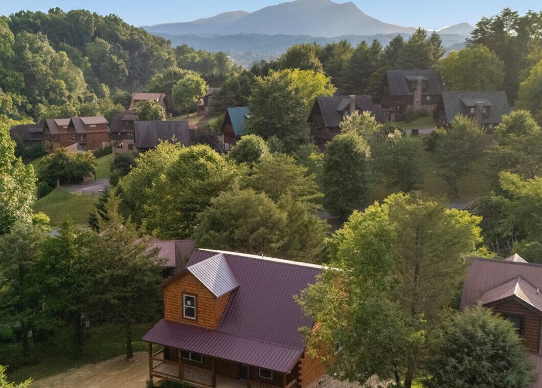 ibrplam6buarogzoox4g