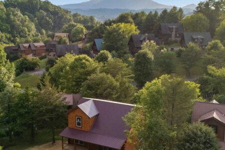 ibrplam6buarogzoox4g